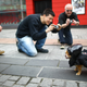 Illustration for article titled The Absolute Cutest Dog Cosplay of All Time